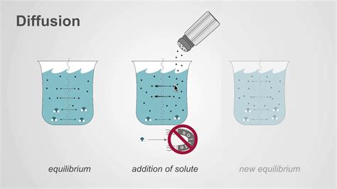 The difference between osmosis and diffusion - YouTube