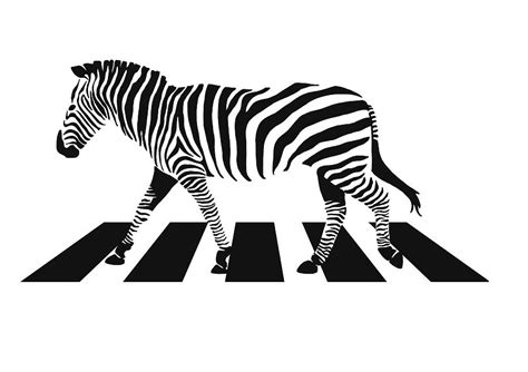 Zebra Crossing Digital Art by Steve Ash | Fine Art America