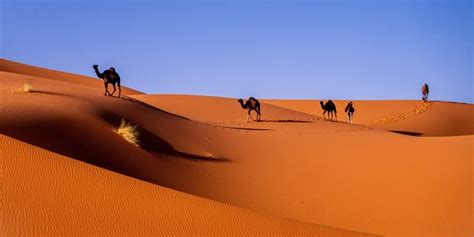 Morocco Sahara Desert: Map, Tips & Ideas for Your Visit | The Gap Decaders