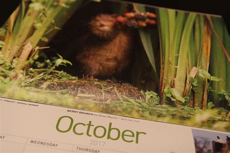 Bbc Countryfile Calendar 2023 By Post – Get Calendar 2023 Update