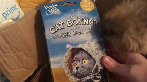 Cat Bonnet 😂 - YouTube