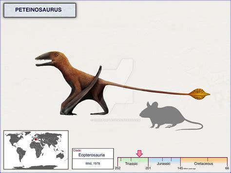 Peteinosaurus by cisiopurple on DeviantArt