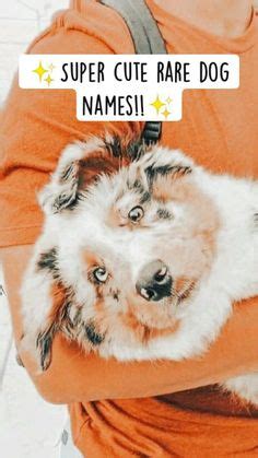 7 Pet names ideas in 2022 | cute animal names, cute puppy names, cute ...