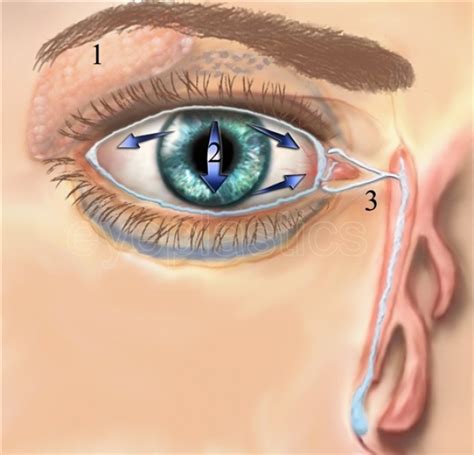 Cosmetic and Reconstructive Surgery of the eyelids, orbits and tear ducts