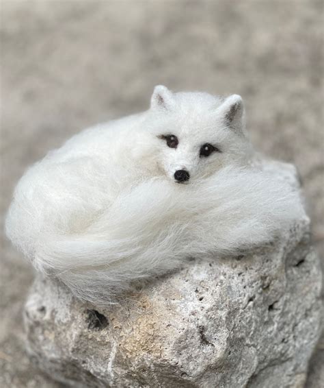 Needle Felted Arctic Fox, White Winter - Etsy