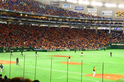 Travel Guide - Japan: The One about How to Watch Live Japanese Baseball ...