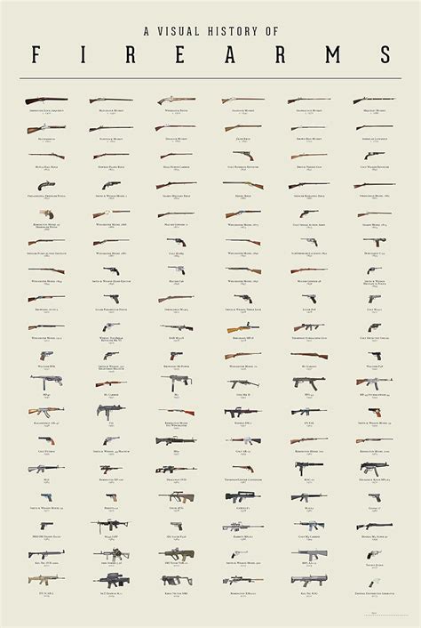 Amazon.com: Gun Poster - A Visual History of Firearms (24" X 36 ...