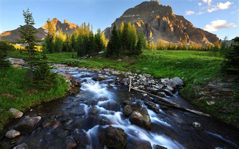 Yellowstone s wallpaper | 2560x1600 | #32618