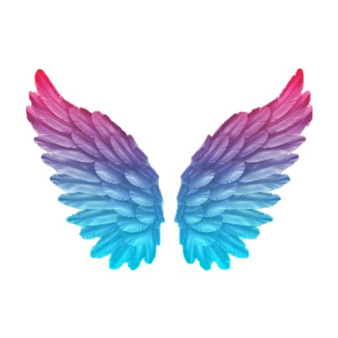 s_k_123 Profiles in 2021 | Wings art, Wings wallpaper, Angel wings art