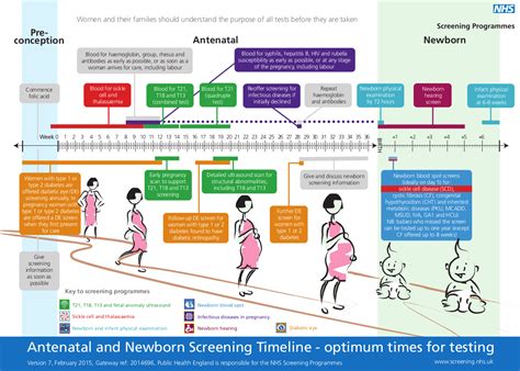 Fetal Anomaly Screening Programme (FASP): gestational age parameters - PHE Screening