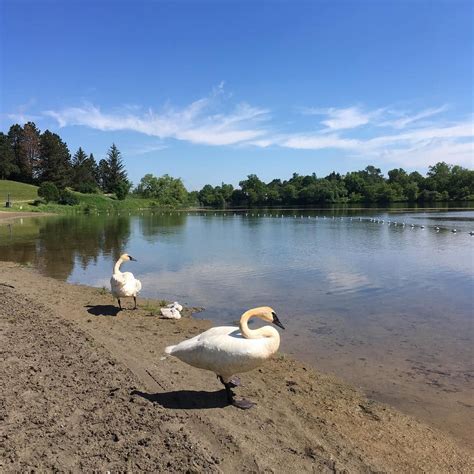 14 Hidden Ontario Beaches You Never Knew Existed | Ontario travel, Ontario beaches, Canadian ...