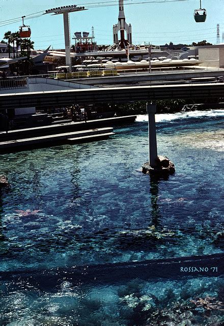 Flickriver: Most interesting photos from Disney Extinct Attraction Graveyard pool