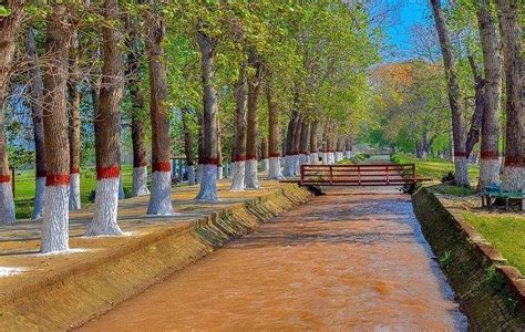 Changa Manga Forest, Kasur, Punjab, Pakistan