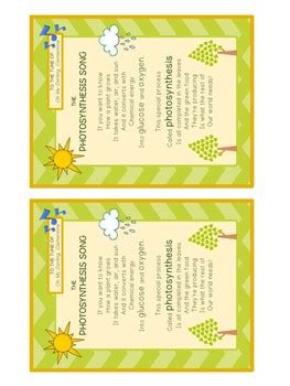 Photosynthesis Song! by Primary Produce for Your Classroom | TPT