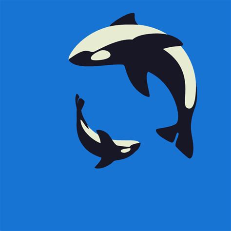 Orca Family Animation on Behance | Arte de animación, Animacion digital ...