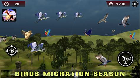 Flying Birds Hunting Game - Bird Hunter - App on Amazon Appstore