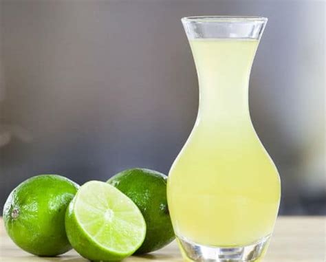 Lime Cordial Recipe Thermomix | Besto Blog