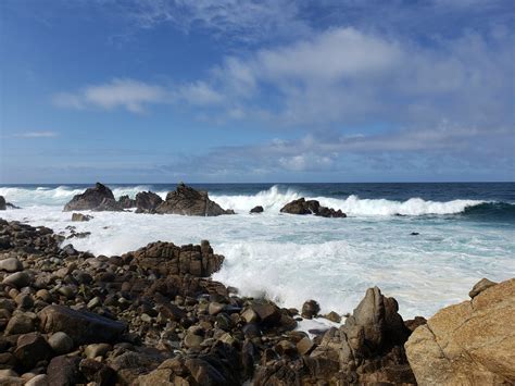 Oceano Scenic Asilomar State Beach Foto stock gratuita - Public Domain Pictures