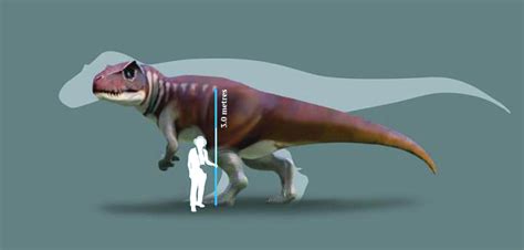 Carnivorous Dinosaurs as Big as T. rex Lived in Jurassic Australia ...