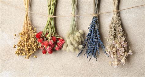 How to Dry Flowers: 5 Methods for Drying Flowers - 2022 - MasterClass