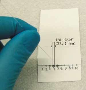 How to set up a TLC analysis