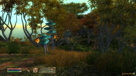 The Elder Scrolls IV: Shivering Isles Fiche RPG (reviews, previews, wallpapers, videos, covers ...
