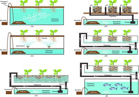 Different types of hydroponic systems. (a) Deep Water Culture. (b) Drip... | Download Scientific ...