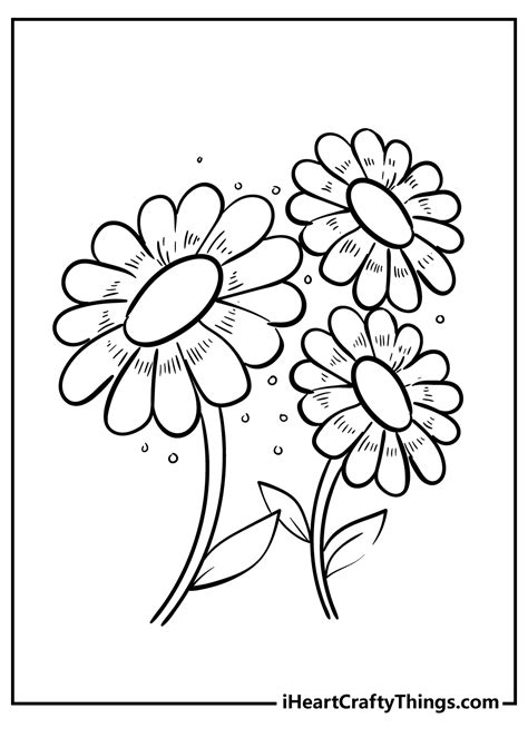 Daisy Flower Garden Coloring Pages