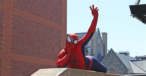 Free stock photo of funny, marvel, spider man