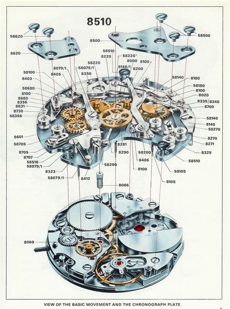 Parts Of A Watch Diagram - Wiring Diagram