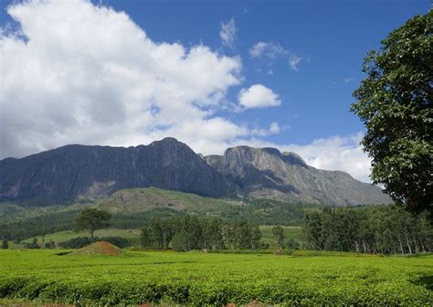 Mount Mulanje - 2021 All You Need to Know Before You Go (with Photos ...