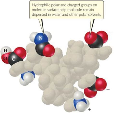 COLLOIDS - PROPERTIES OF SOLUTIONS - CHEMISTRY THE CENTRAL SCIENCE