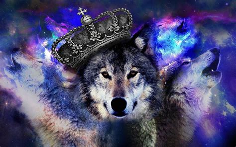 Blue Wolves Wallpapers - Top Free Blue Wolves Backgrounds - WallpaperAccess