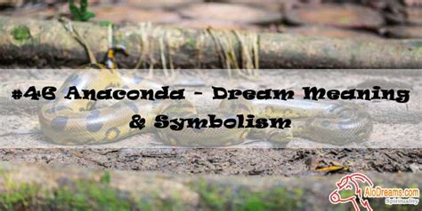 #46 Anaconda : Dream Meaning & Symbolism