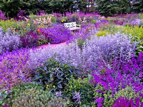 PURPLE GARDEN | Purple garden, Beautiful gardens, Violet garden