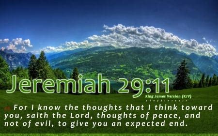 Jeremiah 29:11 - Other & Nature Background Wallpapers on Desktop Nexus ...