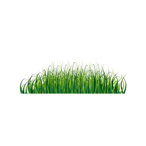 Premium Vector | Grass Border