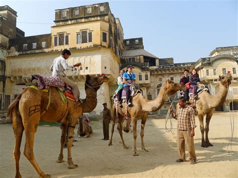 Best Places for Camel Safari in India - Famous Desert Safaris