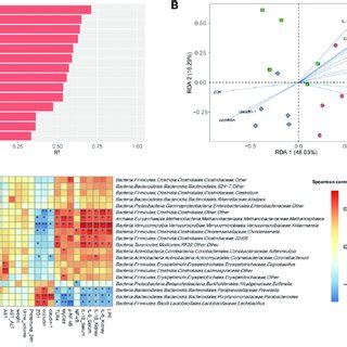 | The relationships among the gut microbiota, intestinal barrier, and ...