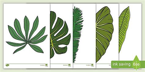 KS1 Jungle Leaf Template Cut-Outs (Teacher-Made) - Twinkl