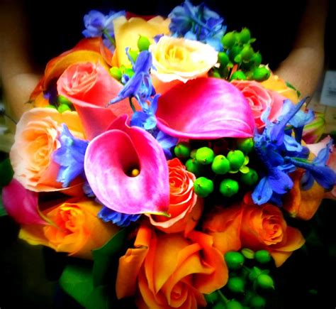 Sarasota Florist & Gifts, Inc - Must See Sarasota