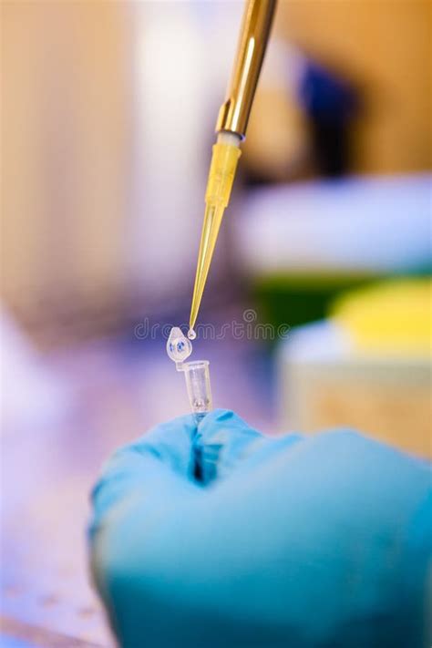 Biological Sample Preparation Stock Photo - Image of science, vial ...