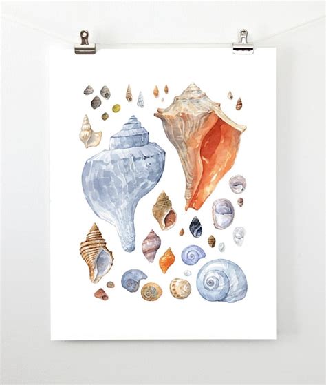 Seashell Painting Coastal Wall Art Watercolor Shells Print - Etsy Canada