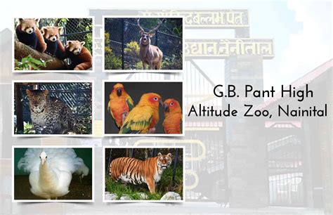 Nainital Zoo