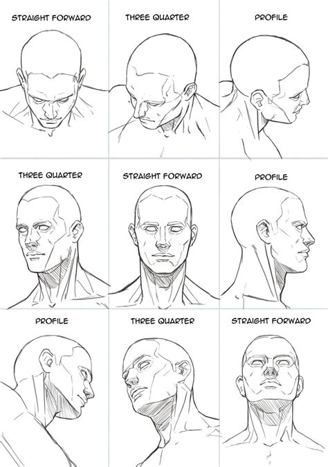 Human Head Sheet by Hoelho | Human anatomy art, Sketches, Portrait tutorial