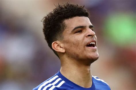 Fact File: Who is new Liverpool signing Dominic Solanke? - Read Liverpool