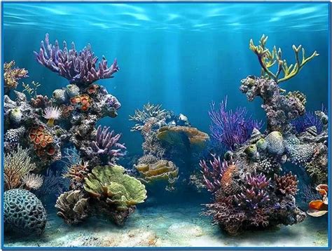 Best Live Aquarium Screensaver - Download-Screensavers.biz