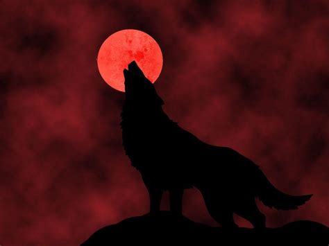 Blood Moon Wolf Wallpapers - Top Free Blood Moon Wolf Backgrounds ...