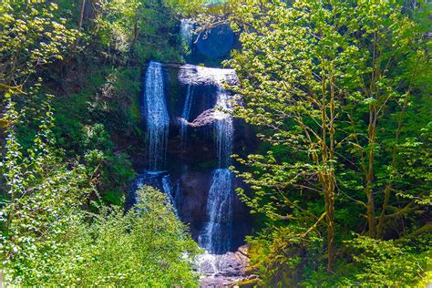 McDowell Creek Falls Loop Hike Image