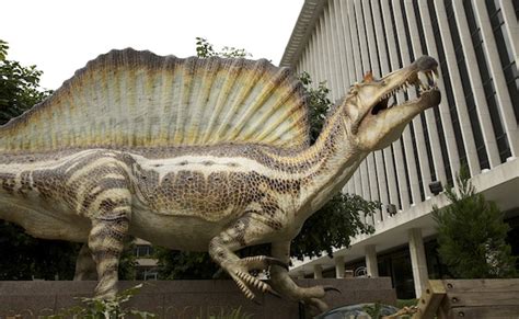 Spinosaurus Roars Into the National Geographic Museum | Washingtonian